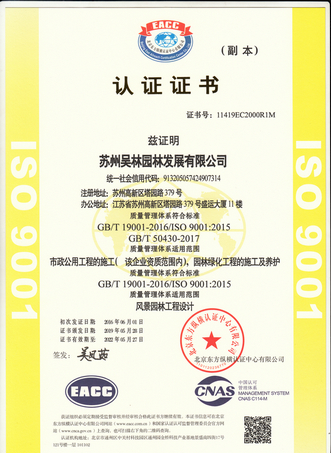 ISO质量管理